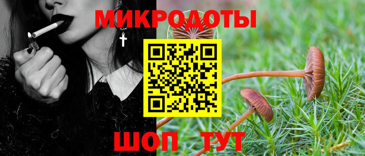 Псилоцибиновые грибы мицелий Тихорецк